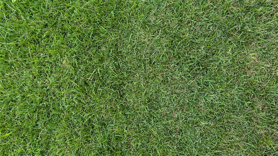 Het gazon herstellen na de winter voor een groen voorjaar