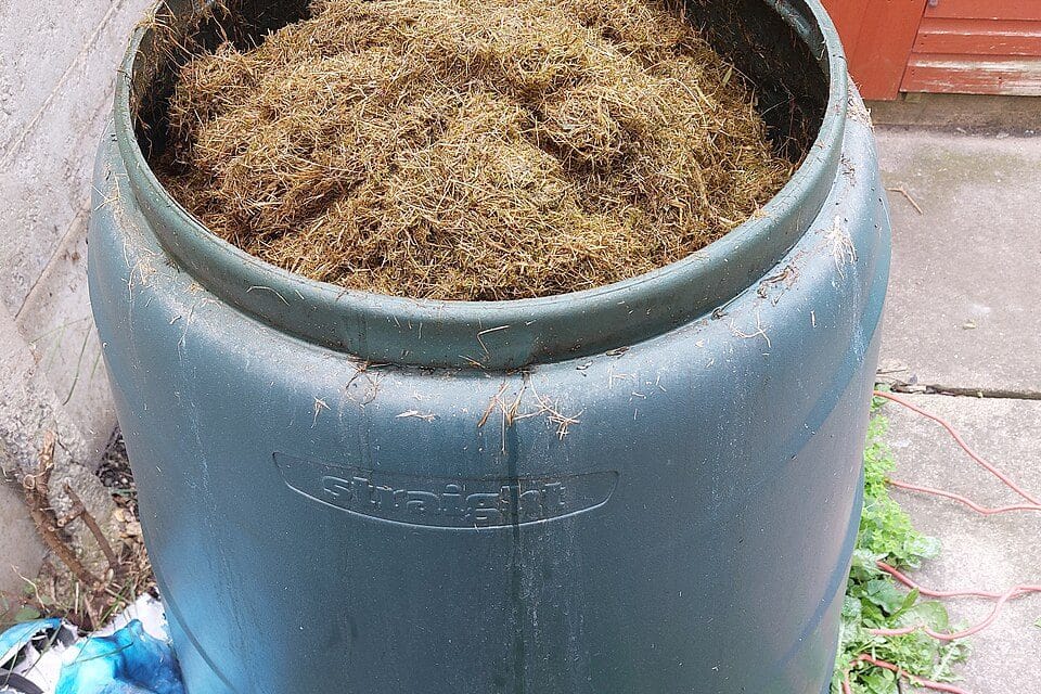 Compostbak starten in juli: van tuinafval naar rijke compost