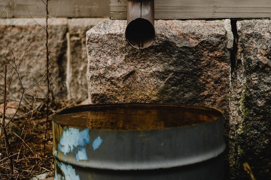 Regenwater opvangen in de tuin: zo haal je dit jaar meer uit je regenton