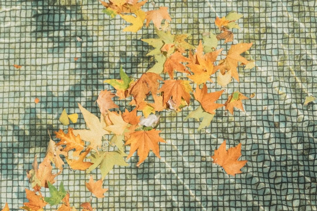 Het opzetzwembad winterklaar maken: leeghalen, schoonmaken en droog opbergen