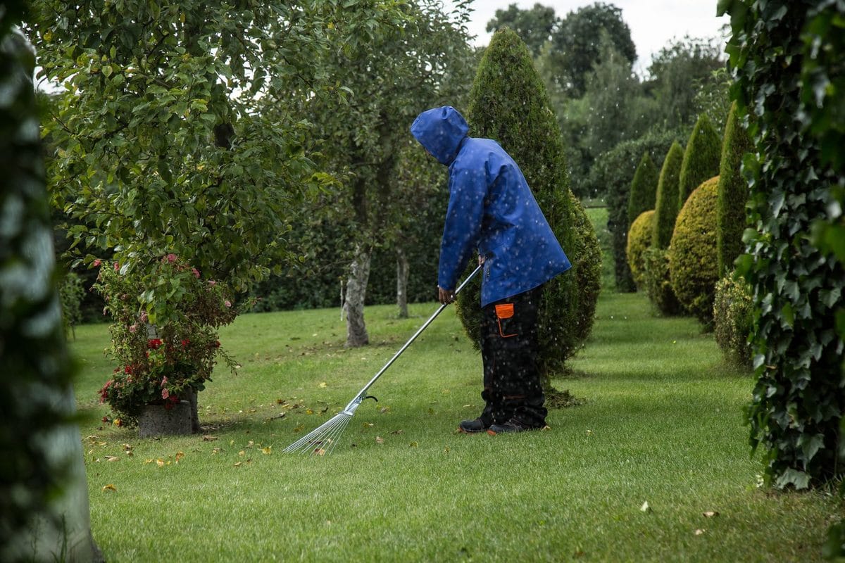 Herfstbladeren opruimen of laten liggen? Zo beslis je per plek in de tuin