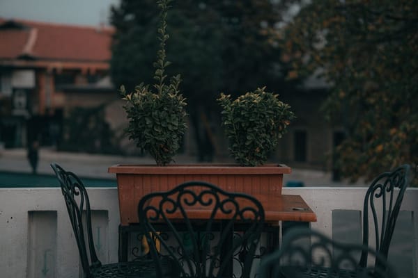 Je terras klaar voor de hete weken: schaduw, planten en meubels die het volhouden