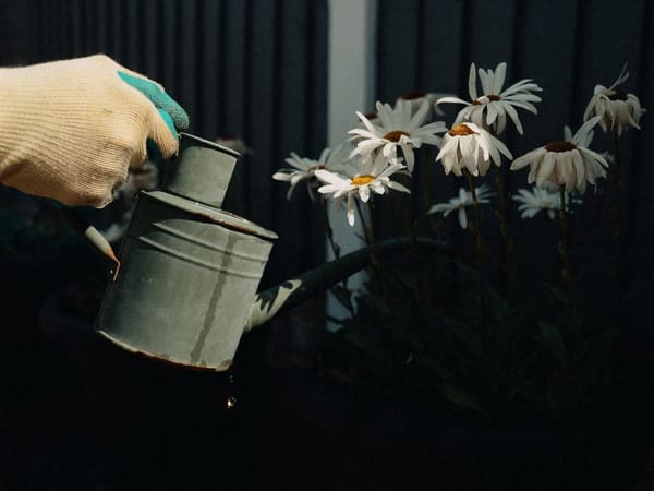 Onkruid wieden zonder gif: gezond voor tuin en bodem