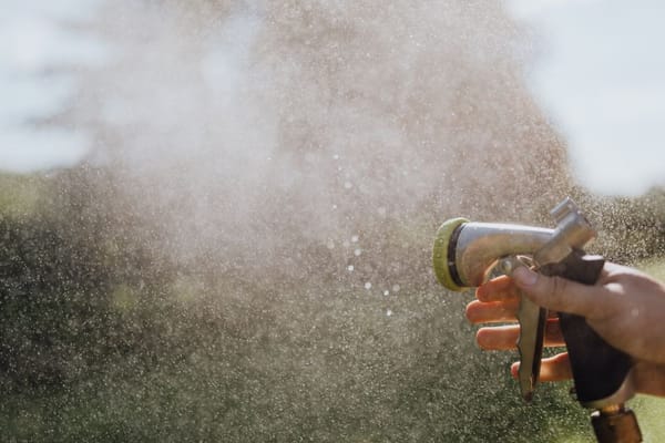 Water geven in droge periodes: efficiënt en plantvriendelijk