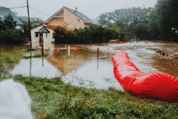 Vochtige kelder na een onweersbui: wat hitte en regen deze zomer met je fundering doen
