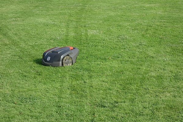 Gazon herstellen in augustus: zo krijg je een verdroogd grasveld weer groen