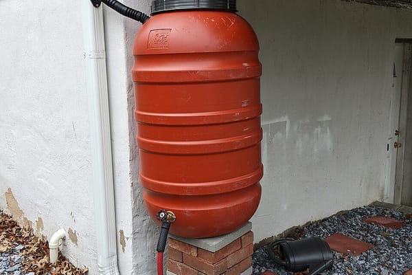 Regenton aansluiten in augustus: zo vang je nog snel water op voor de droge nazomer